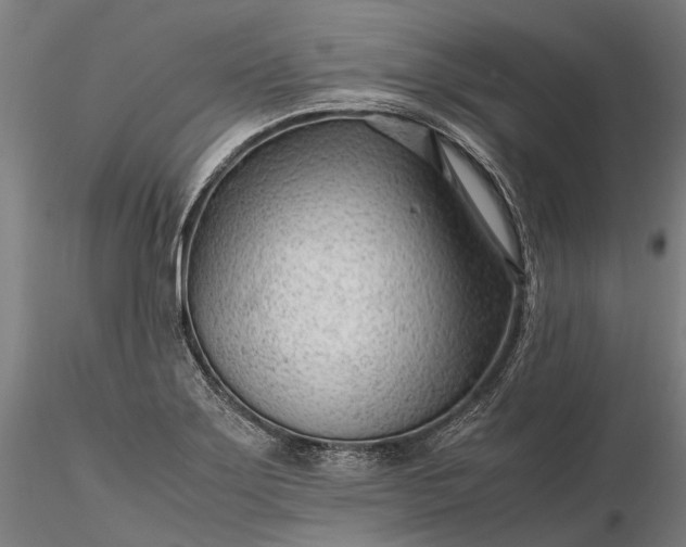 X0000116311275200912141350