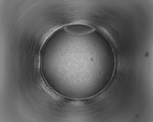 X0000116311276200912141350