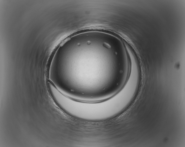 X0000116311277200912141350