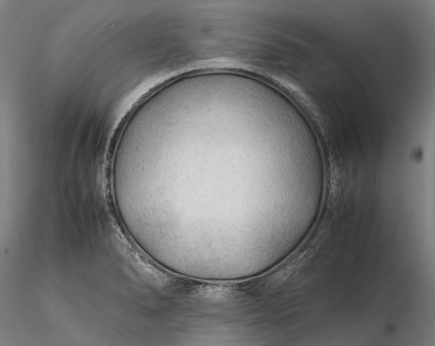 X0000116311278200912141350