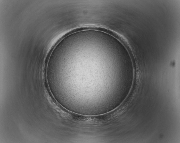 X0000116311279200912141350