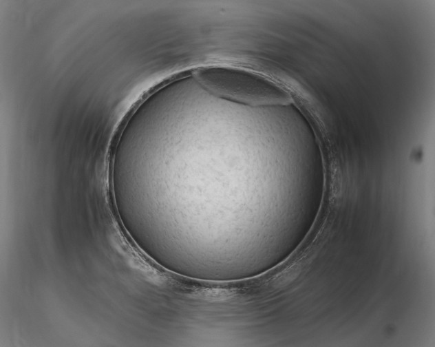 X0000116311280200912141350