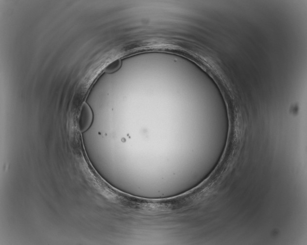 X0000116311281200912141350