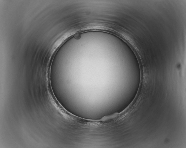 X0000116311282200912141350