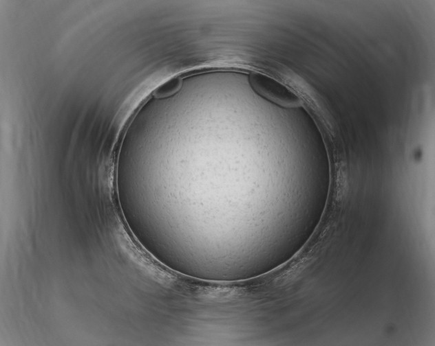 X0000116311284200912141350