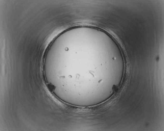 X0000116311285200912141350