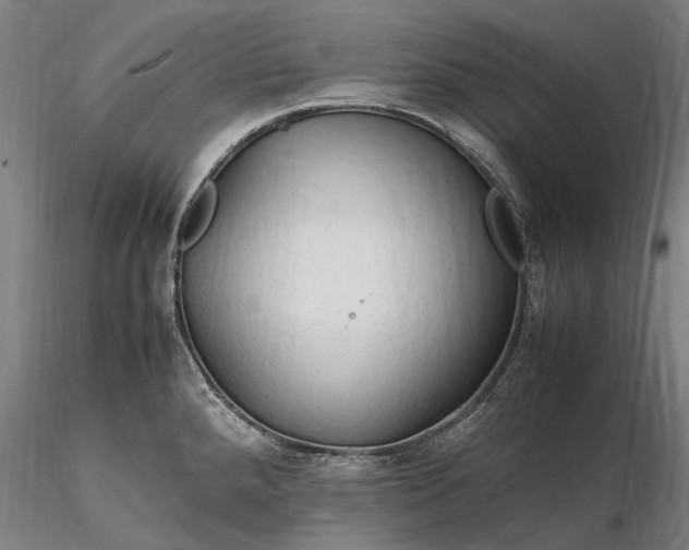 X0000116311288200912141350