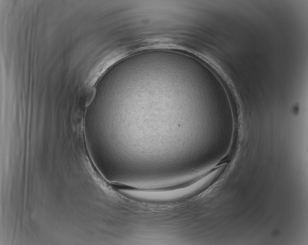 X0000116311289200912141350