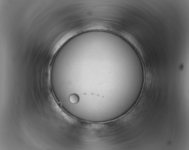 X0000116311290200912141350