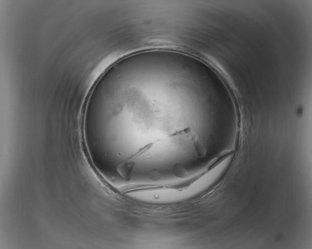 X0000116311291200912141350