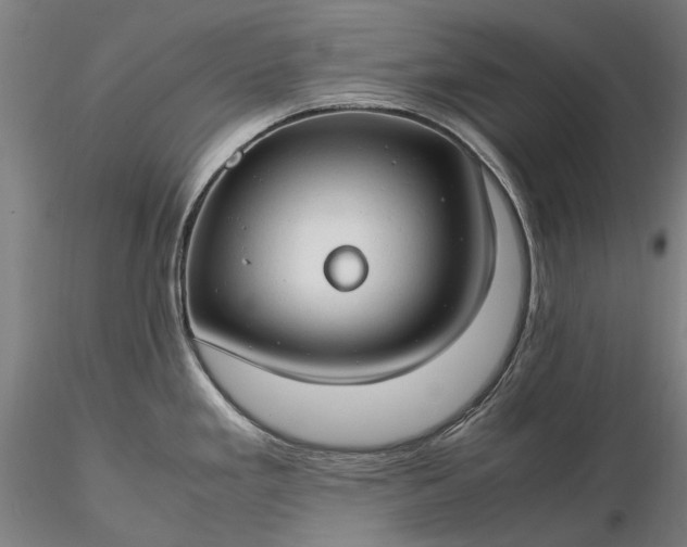 X0000116311293200912141350