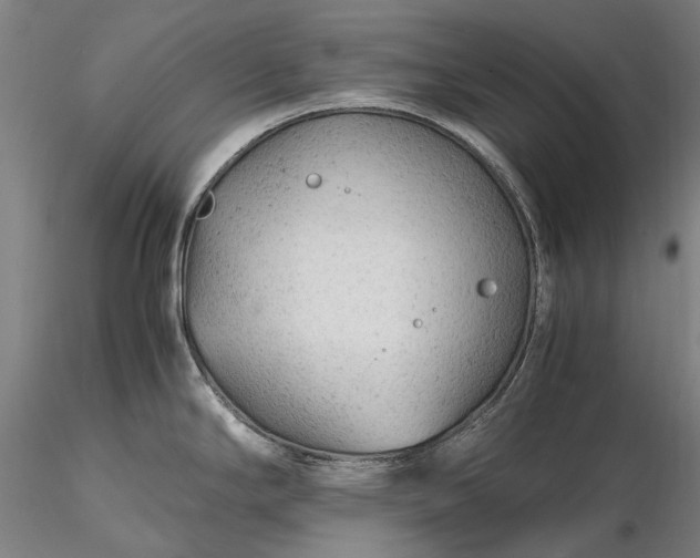 X0000116311294200912141350