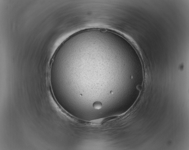 X0000116311295200912141350