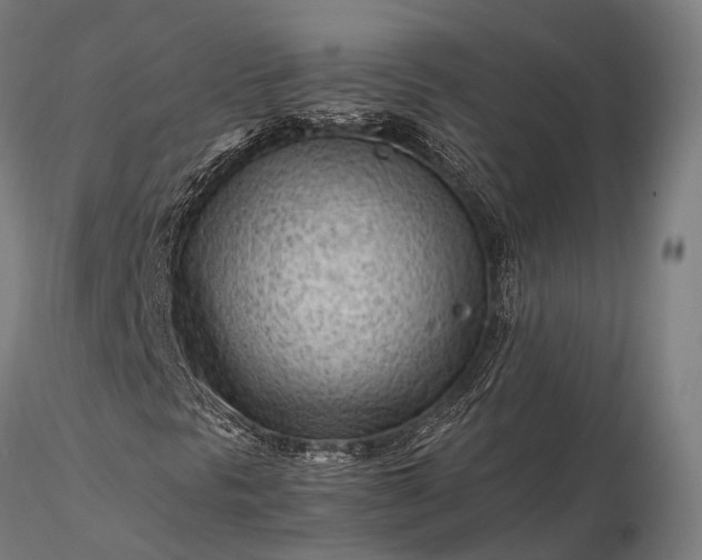 X0000116311297200912141349