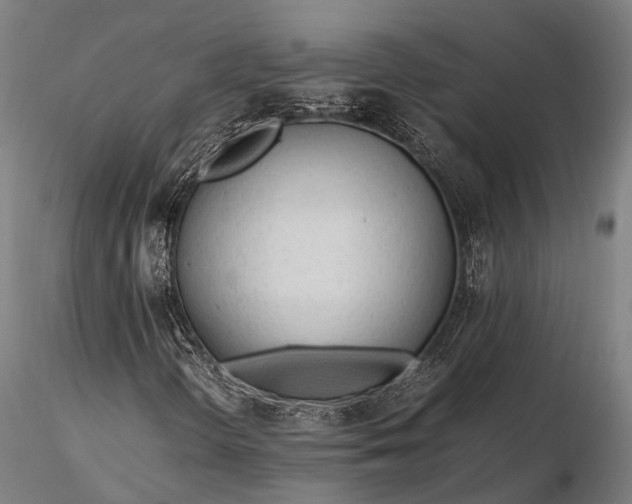 X0000116311298200912141349