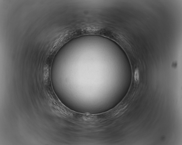 X0000116311299200912141349