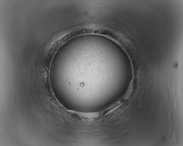 X0000116311302200912141349