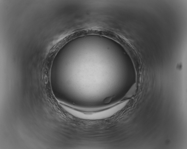 X0000116311303200912141349