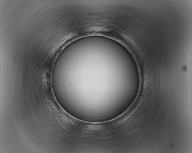 X0000116311305200912141349