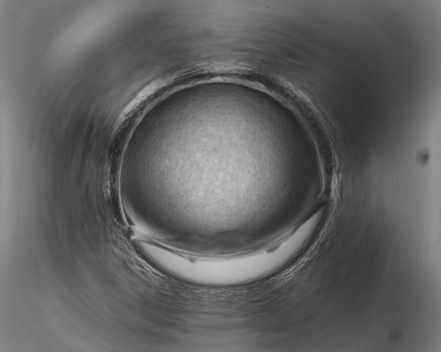 X0000116311306200912141349