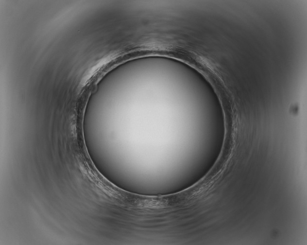 X0000116311307200912141349