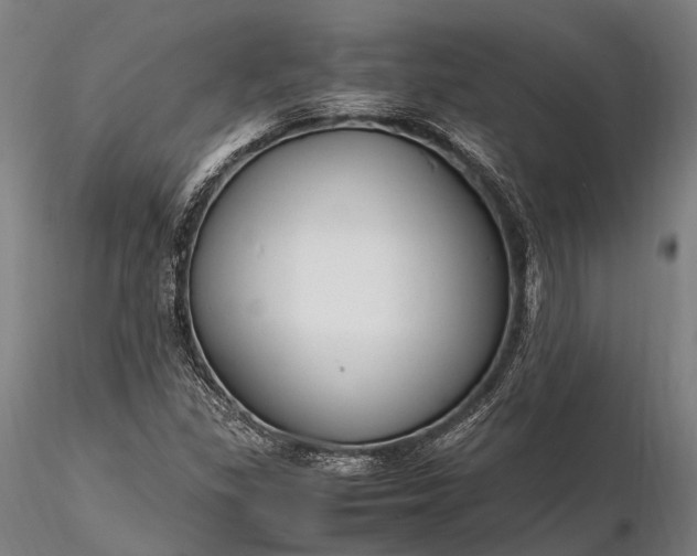 X0000116311309200912141349