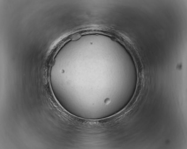 X0000116311310200912141349