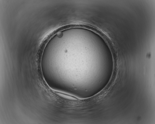 X0000116311311200912141349