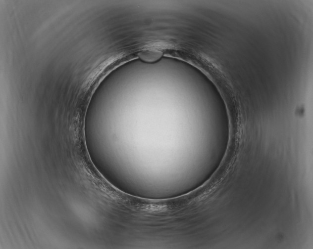 X0000116311313200912141349