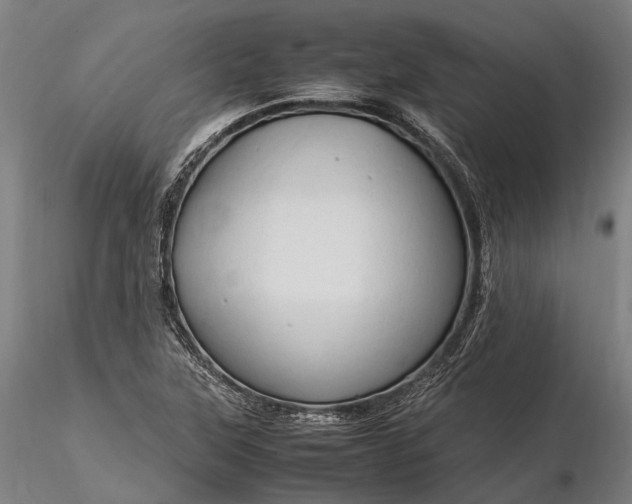 X0000116311315200912141349