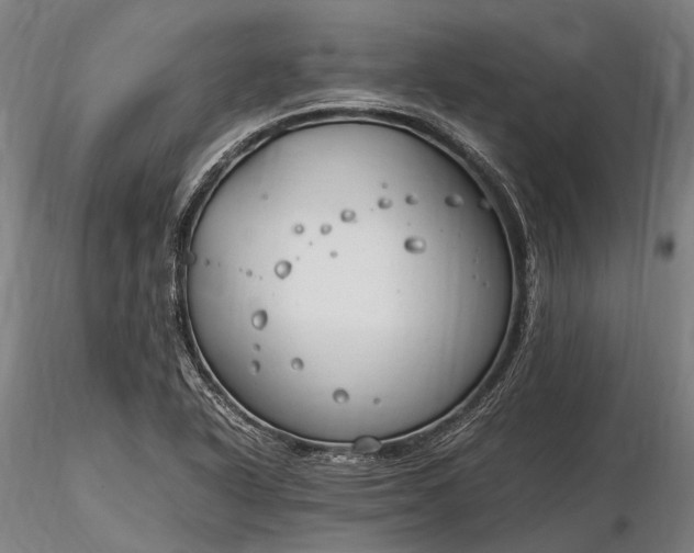 X0000116311318200912141349