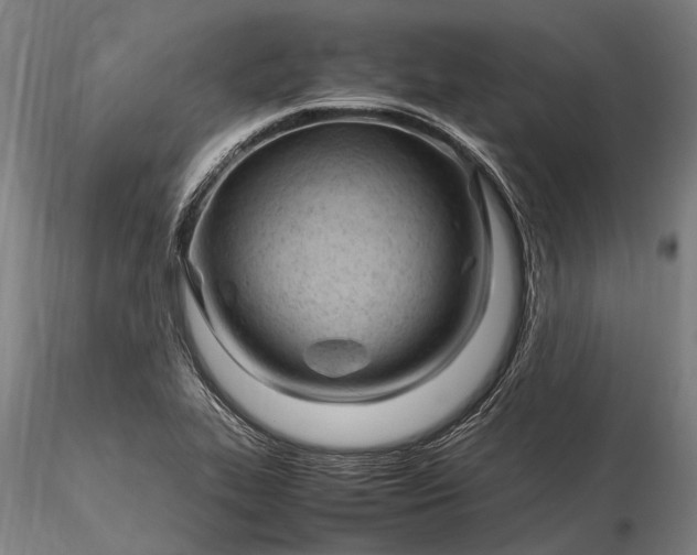 X0000116311319200912141349