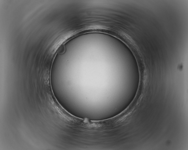 X0000116311321200912141349