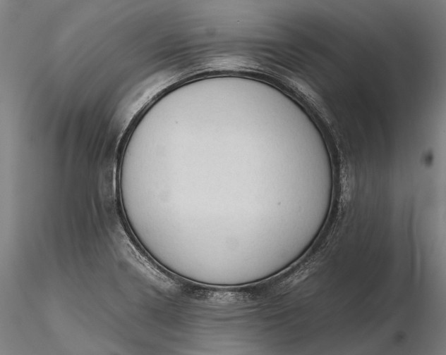 X0000116311322200912141349