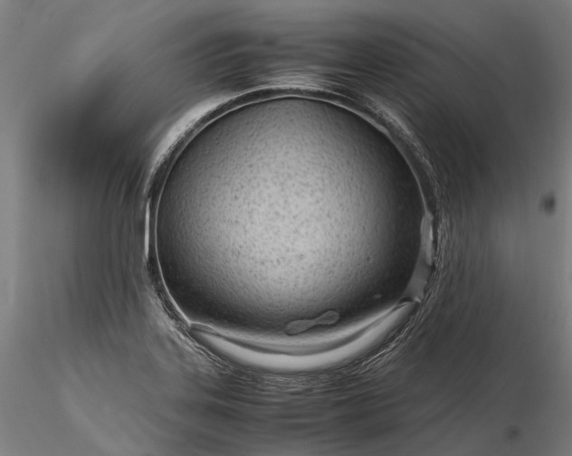 X0000116311323200912141349