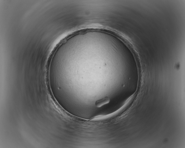 X0000116311326200912141349