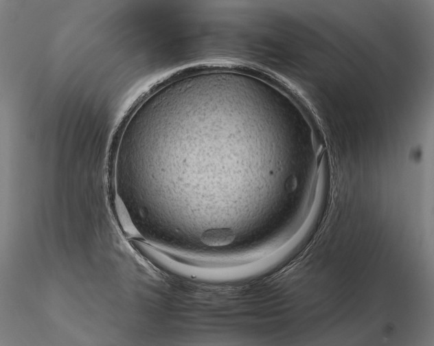 X0000116311327200912141350