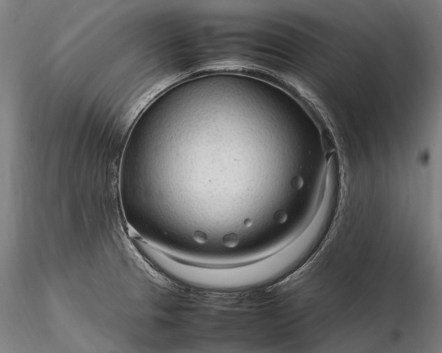 X0000116311329200912141350