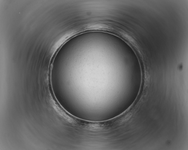 X0000116311330200912141350