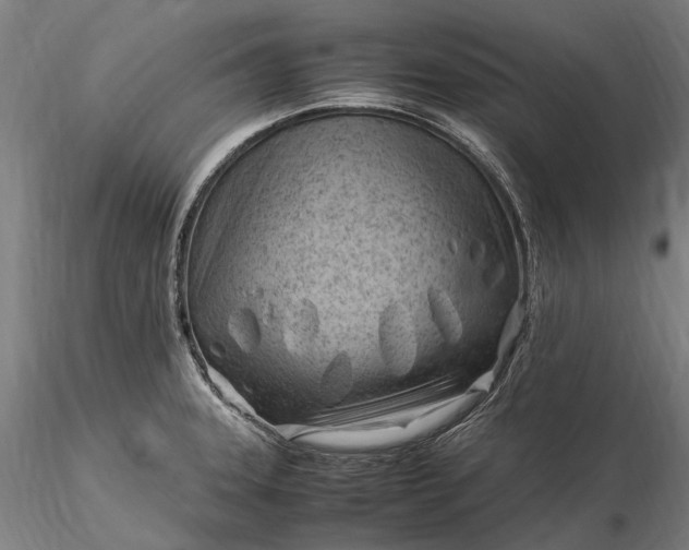 X0000116311331200912141350