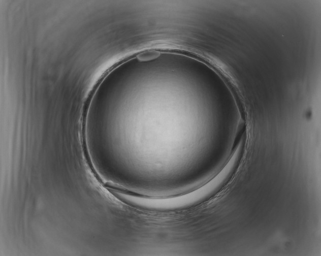 X0000116311334200912141350