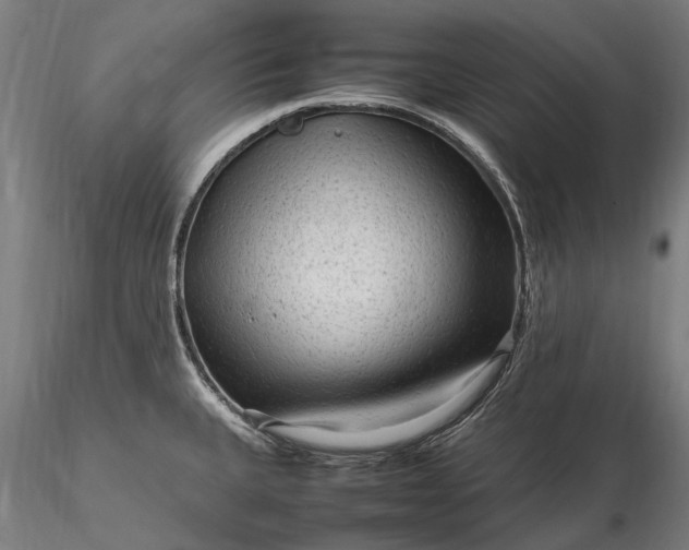 X0000116311335200912141350