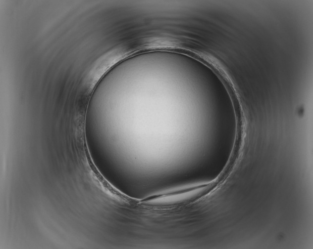 X0000116311337200912141350