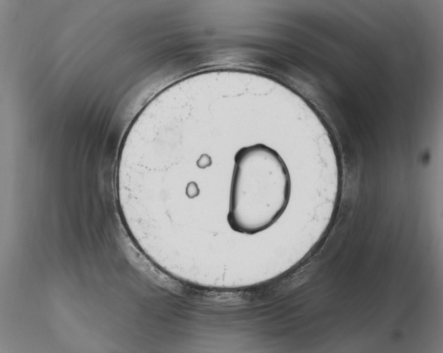 X0000116311338200912141350