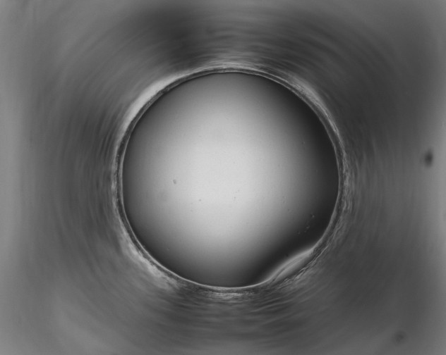 X0000116311339200912141350