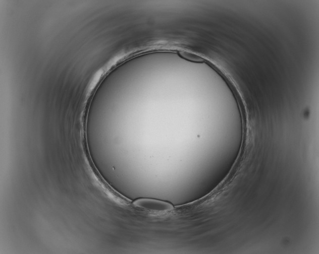 X0000116311341200912141350