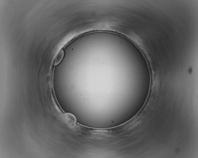 X0000116311342200912141350