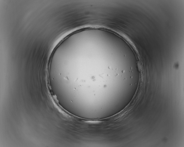 X0000116311343200912141350