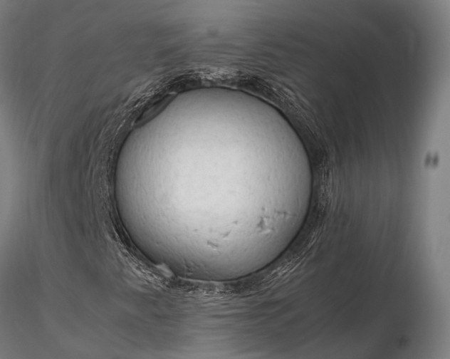 X0000116311345200912141349