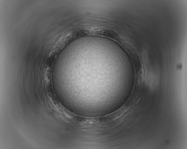 X0000116311346200912141349